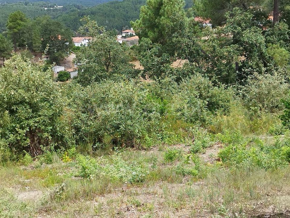 Helårsgrund i Chaves, Vila Real - foto 3