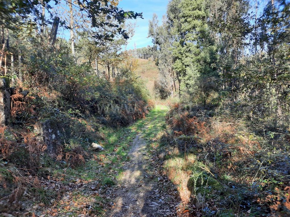 Helårsgrund i Povoa de Lanhoso, Braga - foto 1