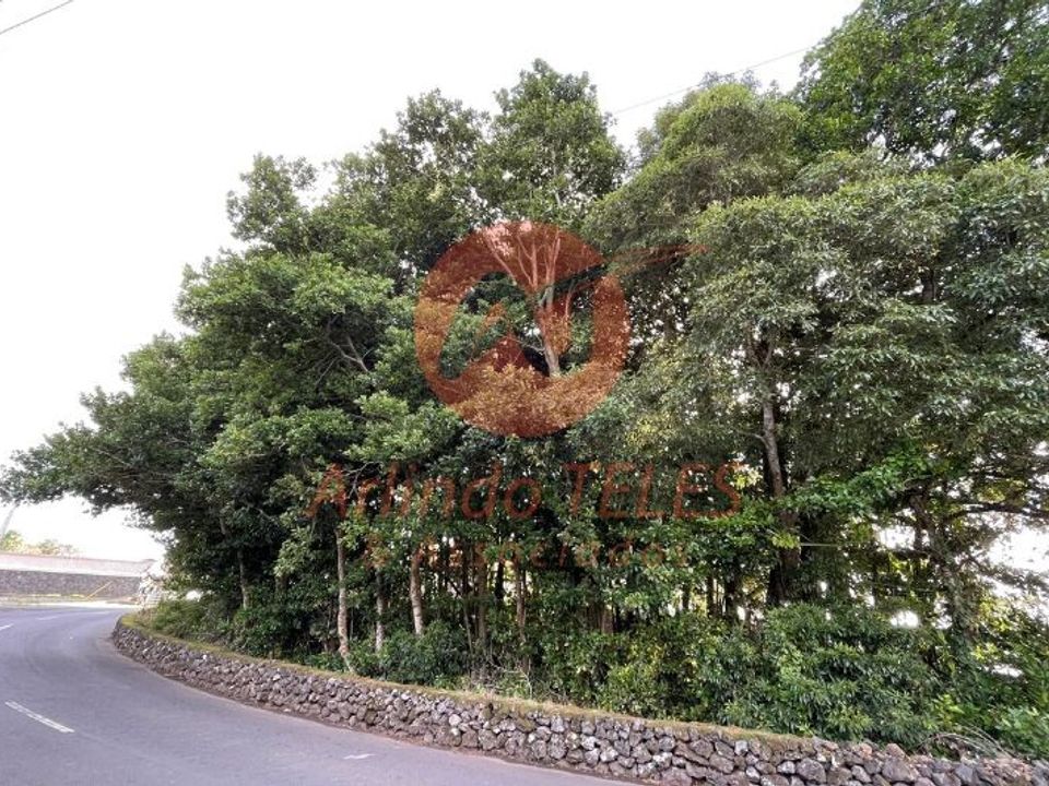 Terreno en Angra do Heroismo, Terceira - foto 4