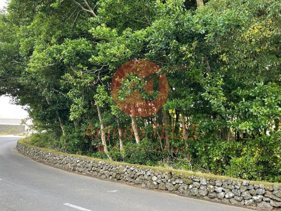 Terreno en Angra do Heroismo, Terceira - foto 5