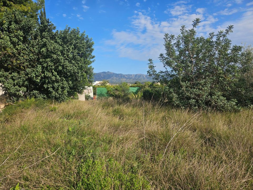 Finca i Xerta, Tarragona - foto 4