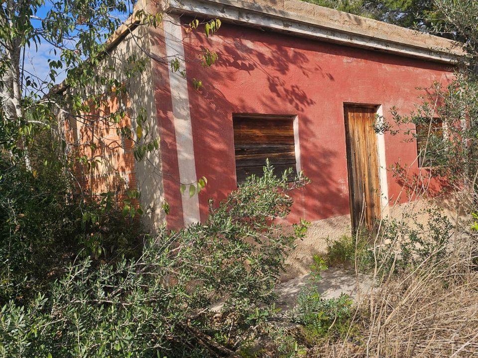 Finca i Xerta, Tarragona - foto 1