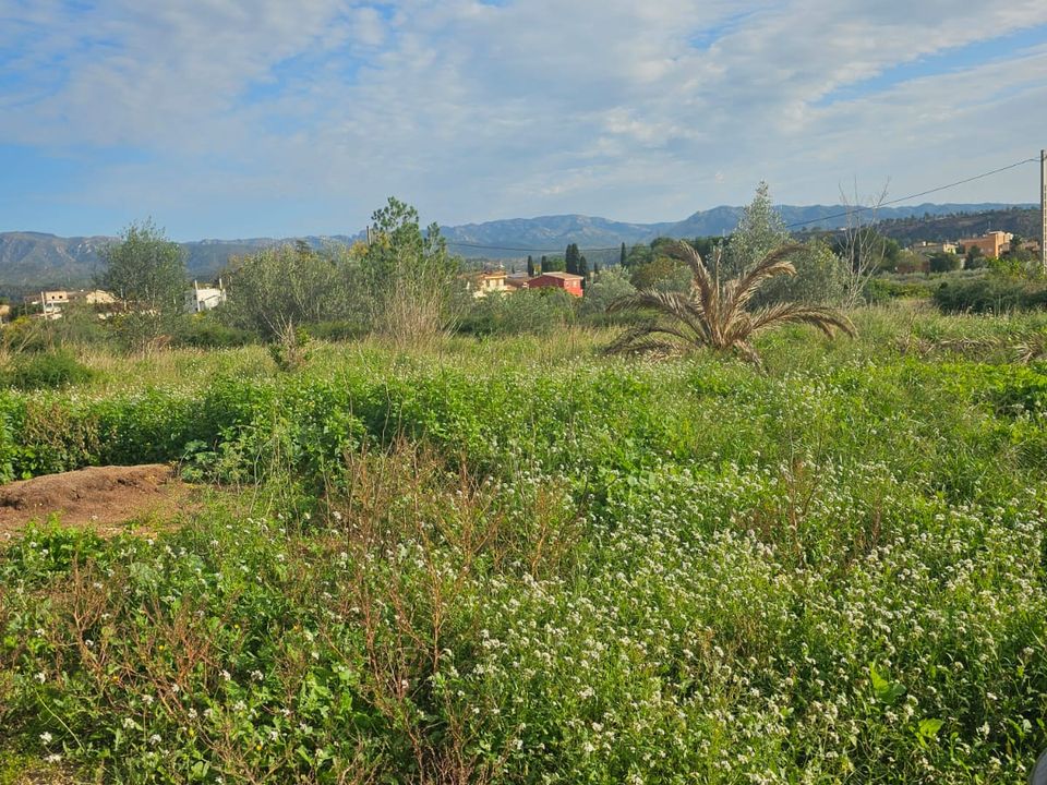 Finca i Xerta, Tarragona - foto 5
