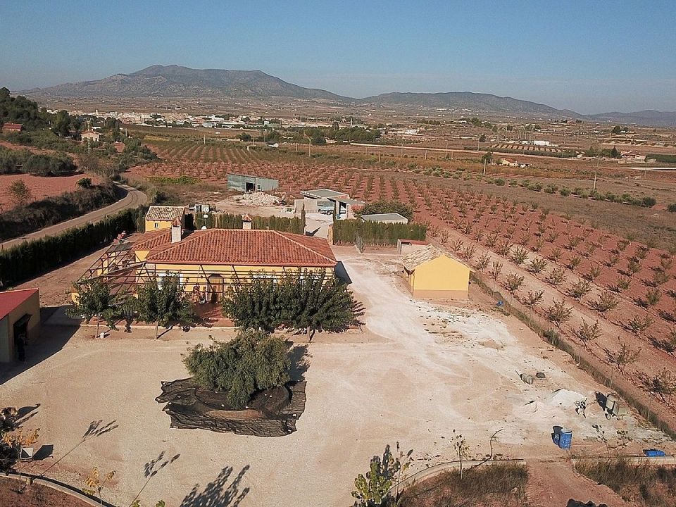 Villa i Pinoso, Alicante - foto 4