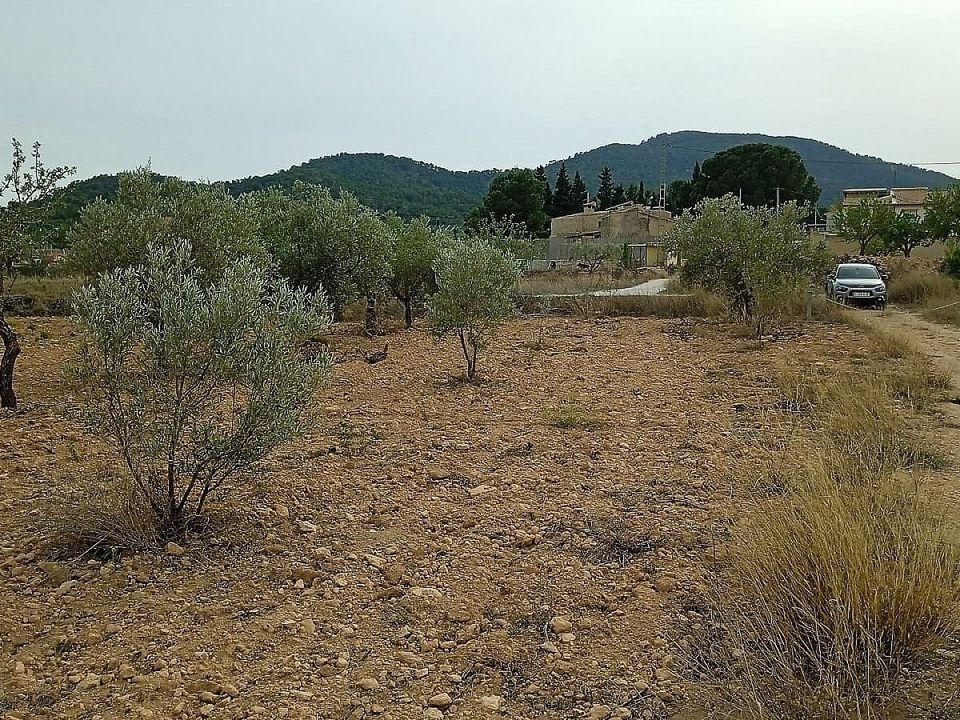 Grond in Monovar, Alicante - foto 1