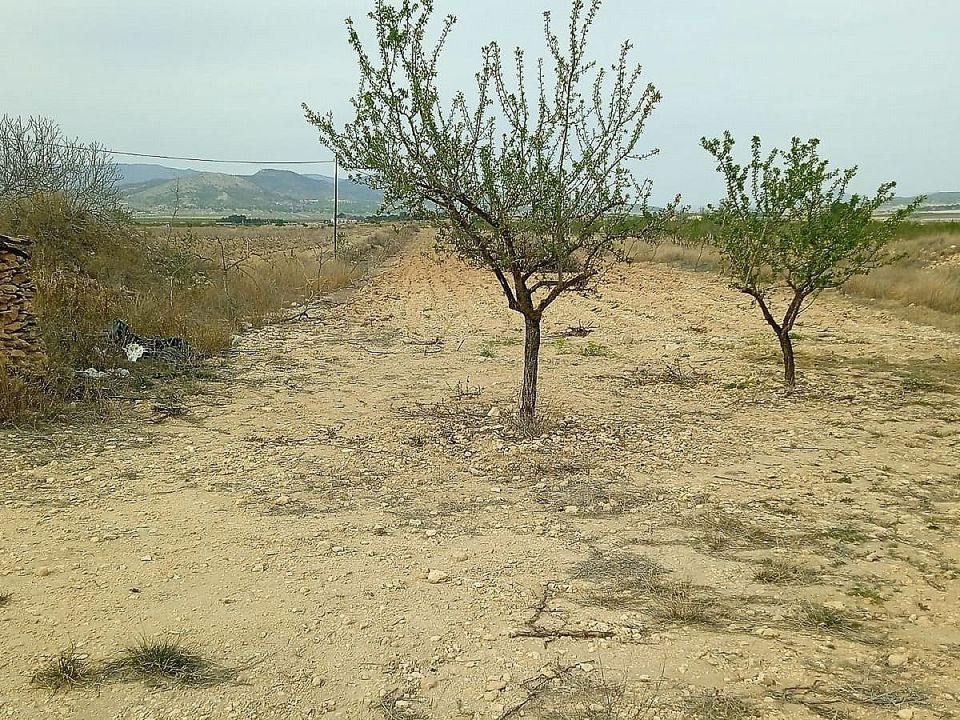 Grond in Monovar, Alicante - foto 2