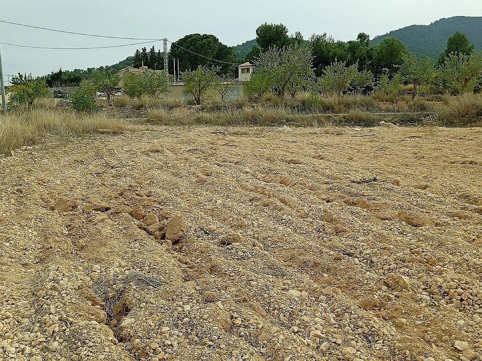 Grond in Monovar, Alicante - foto 1
