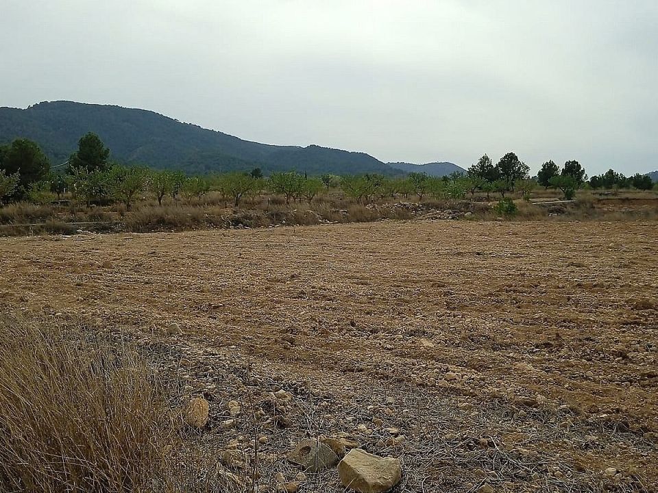 Grond in Monovar, Alicante - foto 2