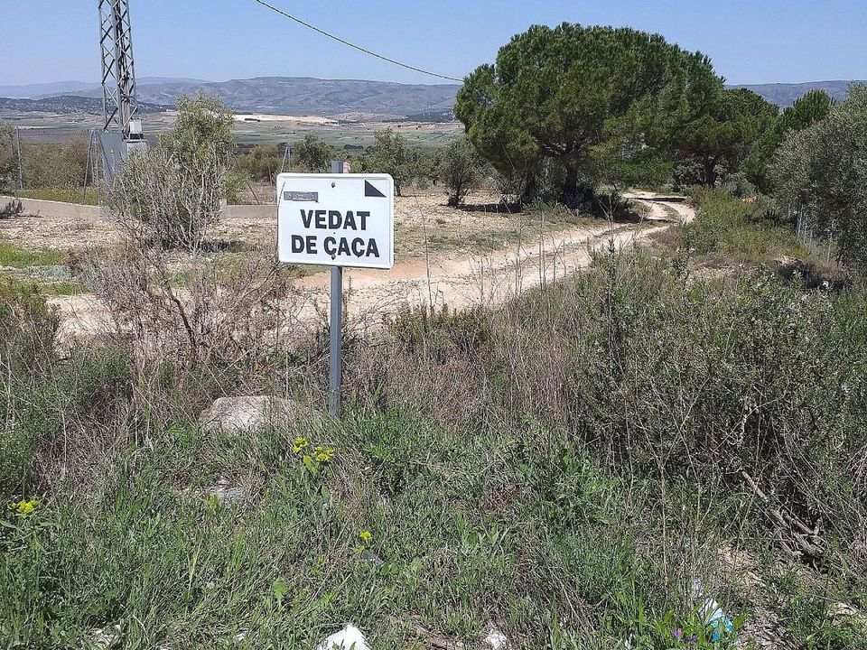 Tomt i Biar, Alicante - bilde 4