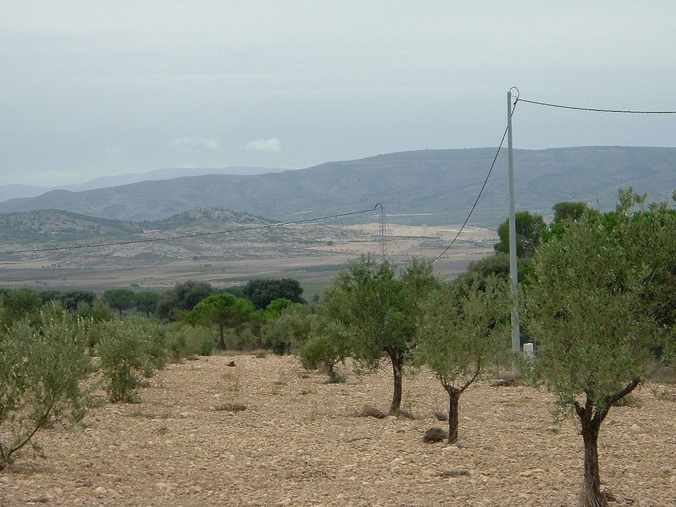 Tomt i Biar, Alicante - bilde 5