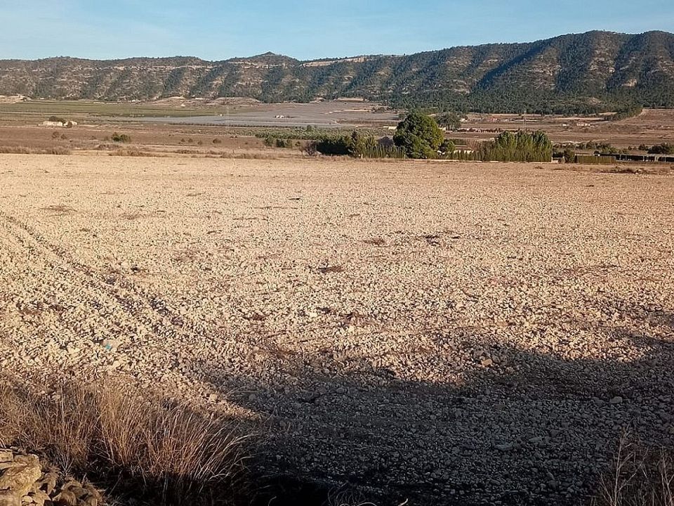 Terreno en Salinas, Alicante - foto 1