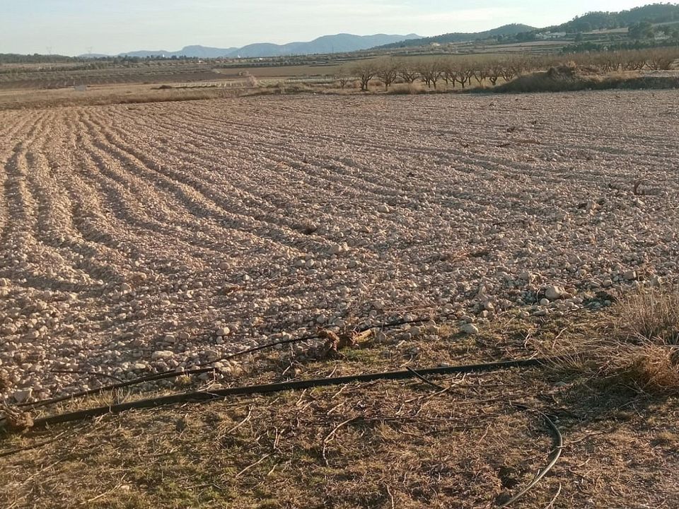 Terreno en Salinas, Alicante - foto 2