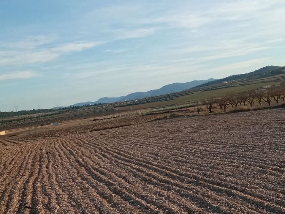 Terreno en Salinas, Alicante - foto 3