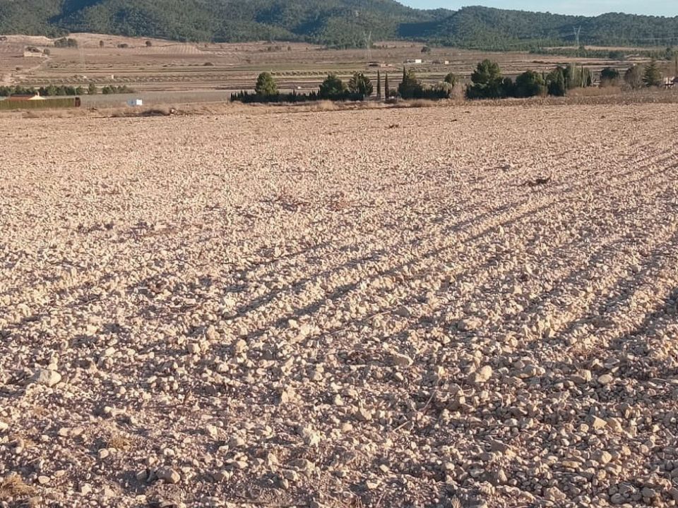 Terreno en Salinas, Alicante - foto 4