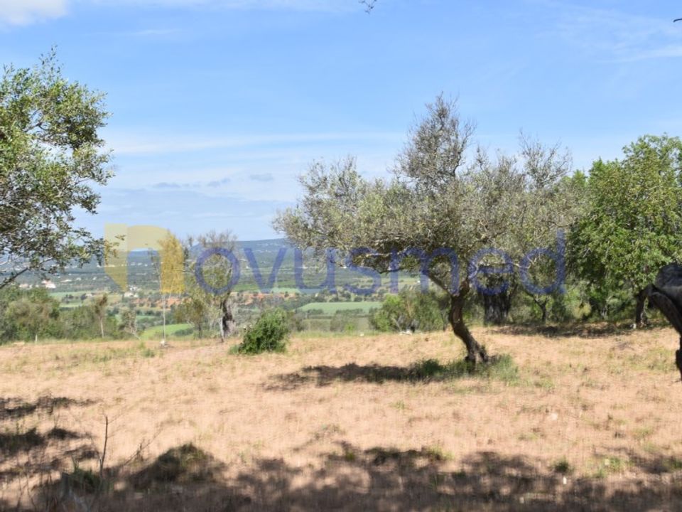 Erhvervsejendom i Paderne, Faro - foto 4