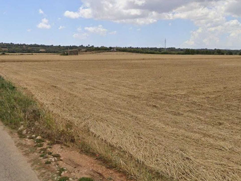 Helårsgrund i Manacor, Mallorca - foto 2