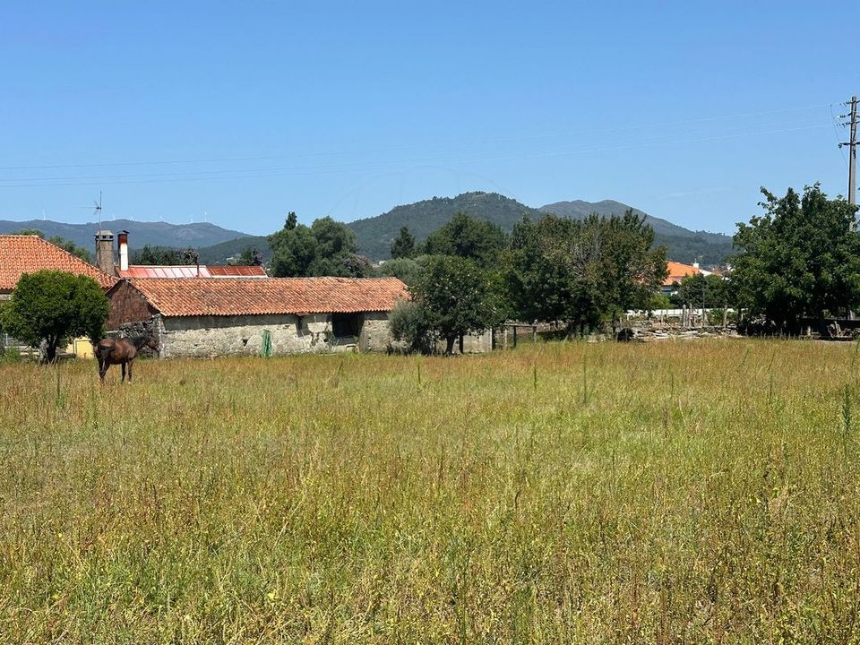 Farm i Viana do Castelo, Viana do Castelo - foto 3