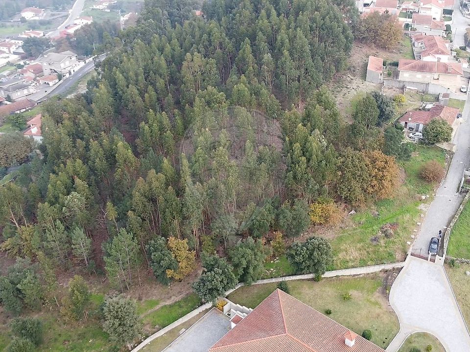 Helårsgrund i Santo Tirso, Porto - foto 4