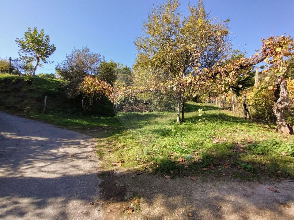 Helårsgrund i Cabeceiras de Basto, Braga - foto 4