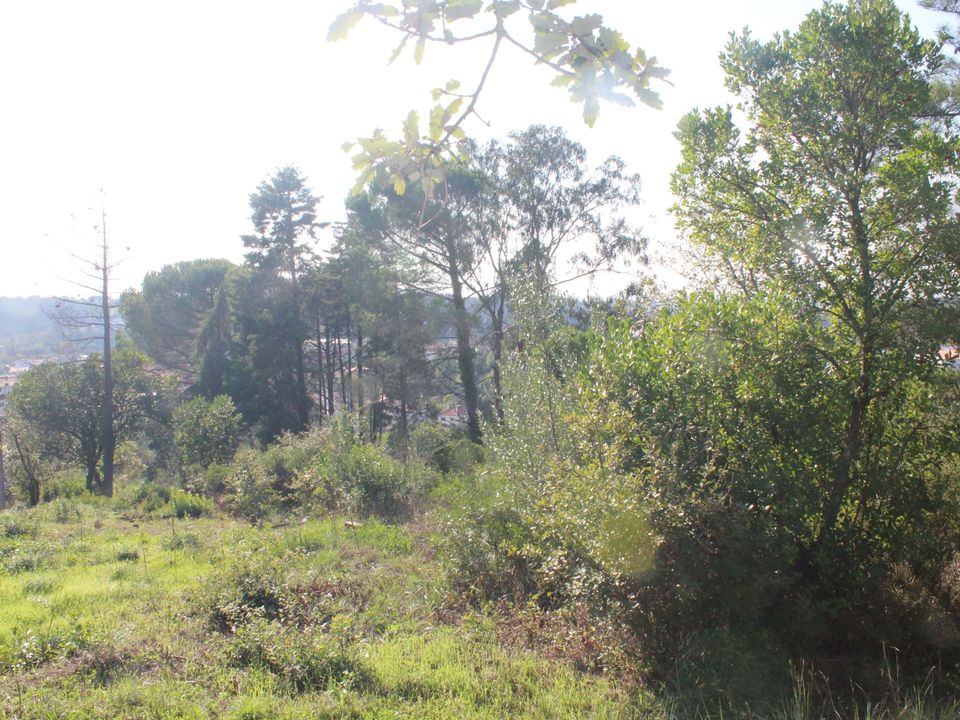 Helårsgrund i Coimbra, Coimbra - foto 4