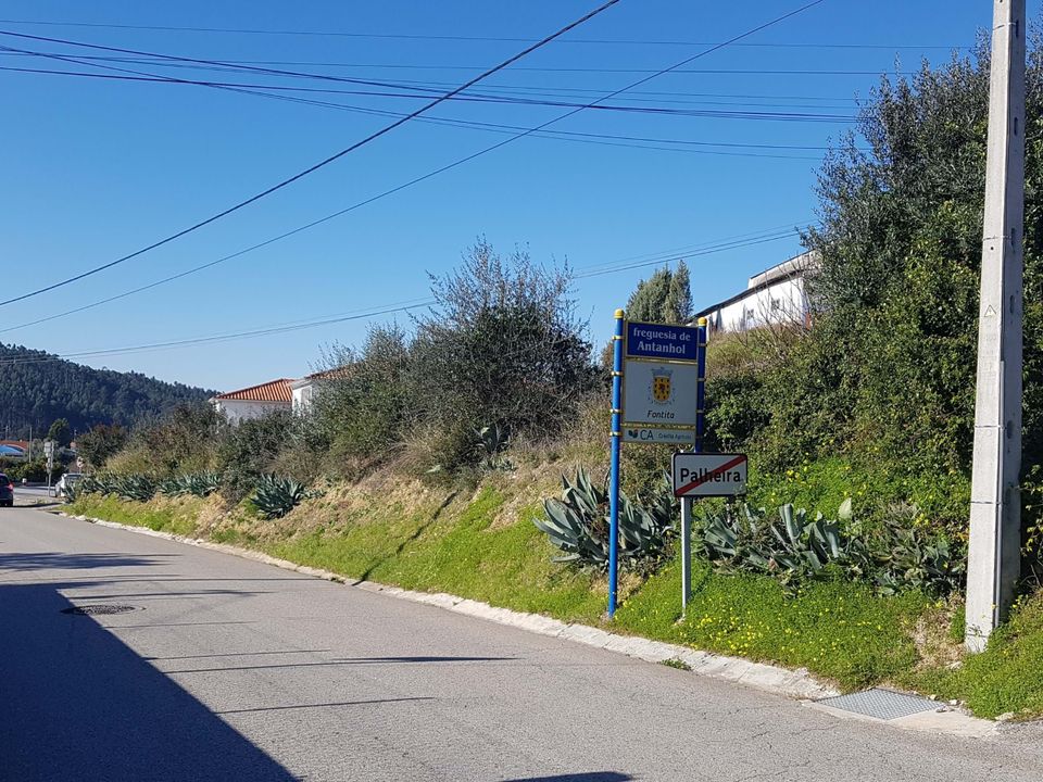 Helårsgrund i Coimbra, Coimbra - foto 3
