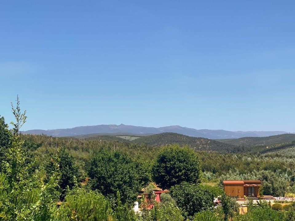 Helårsgrund i Mortagua, Viseu - foto 2
