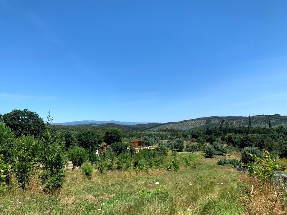 Helårsgrund i Mortagua, Viseu - foto 3