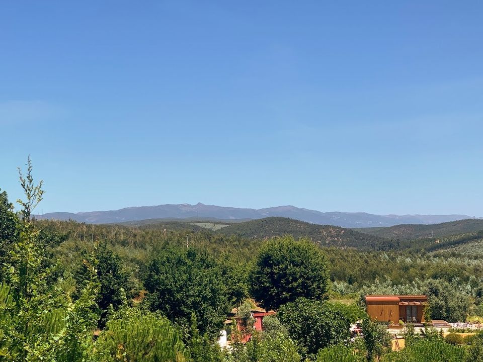 Helårsgrund i Mortagua, Viseu - foto 3