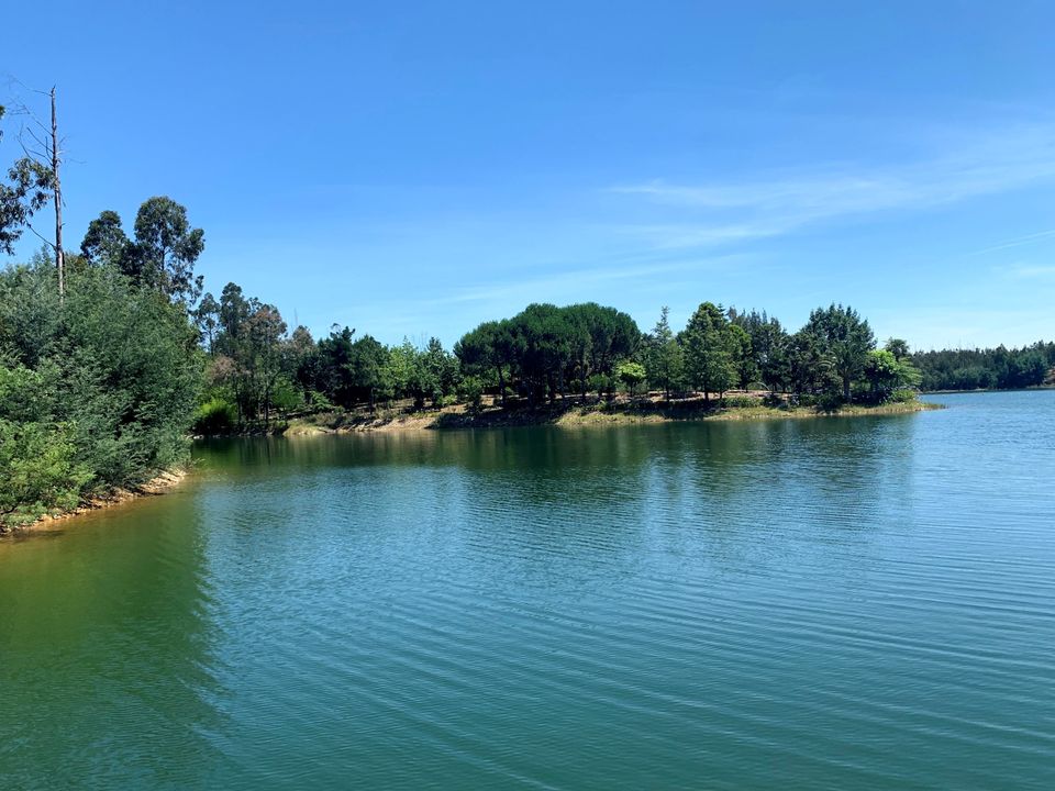 Helårsgrund i Mortagua, Viseu - foto 4
