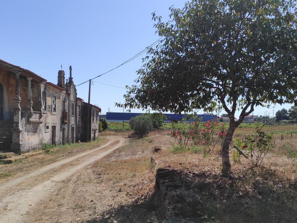 Farm hus i Santa Comba Dao, Viseu - foto 3