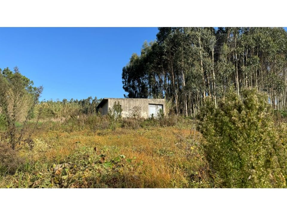 Helårsgrund i Atouguia da Baleia, Leiria - foto 1