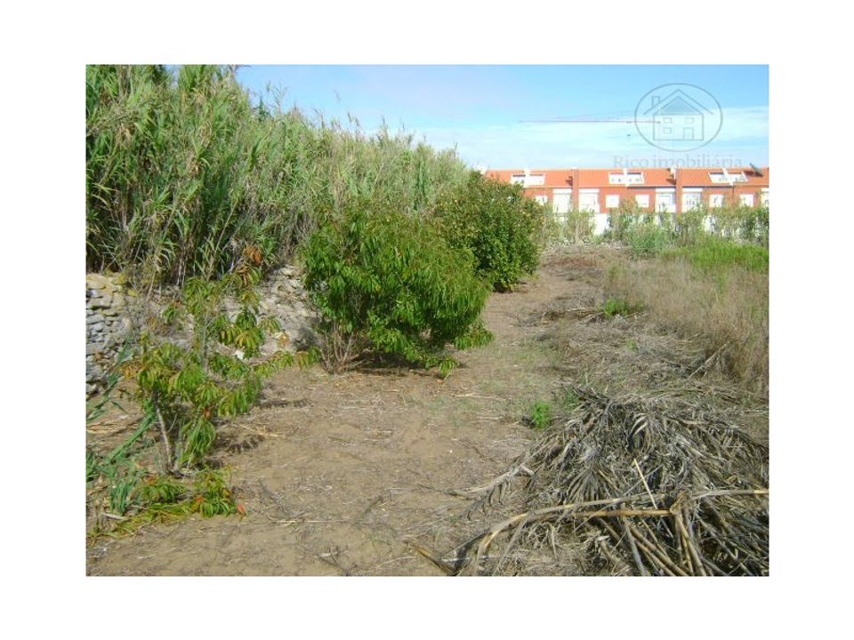 Helårsgrund i Peniche, Leiria - foto 3