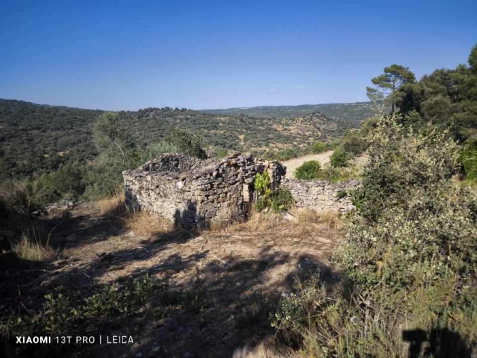 Ruinere i Castelo Mendo, Guarda - foto 1