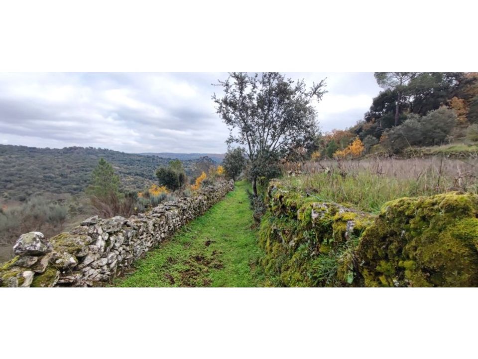 Ruinere i Castelo Mendo, Guarda - foto 3