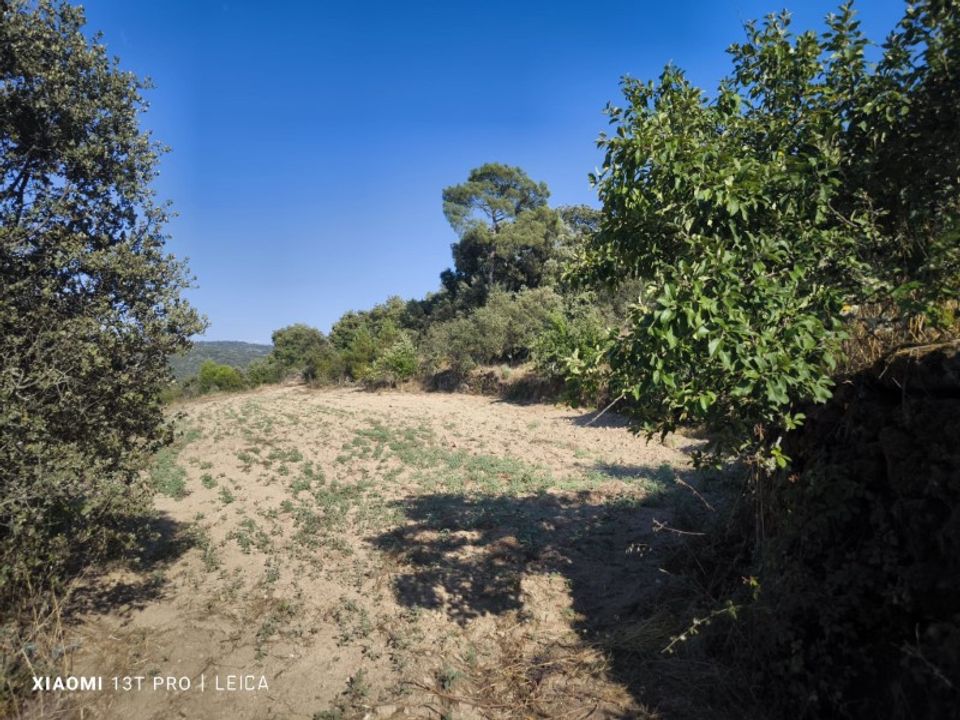 Ruinere i Castelo Mendo, Guarda - foto 4