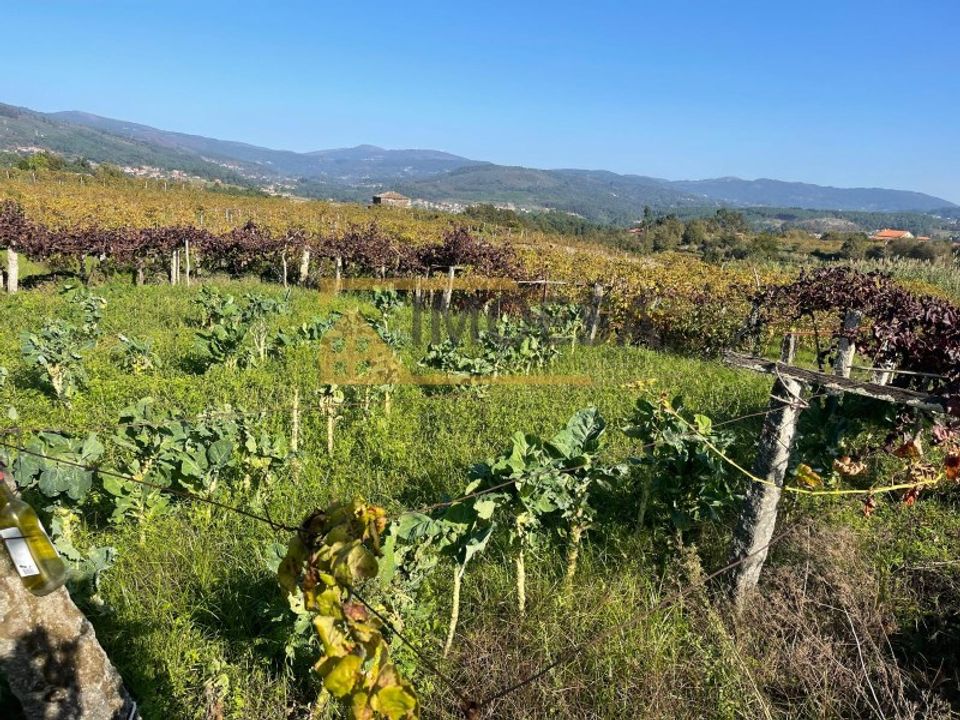 Ruinere i Alvaredo, Viana do Castelo - foto 4