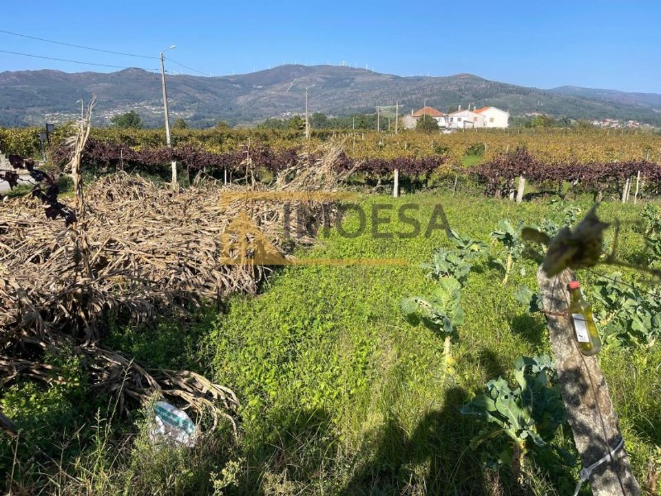 Ruinere i Alvaredo, Viana do Castelo - foto 5