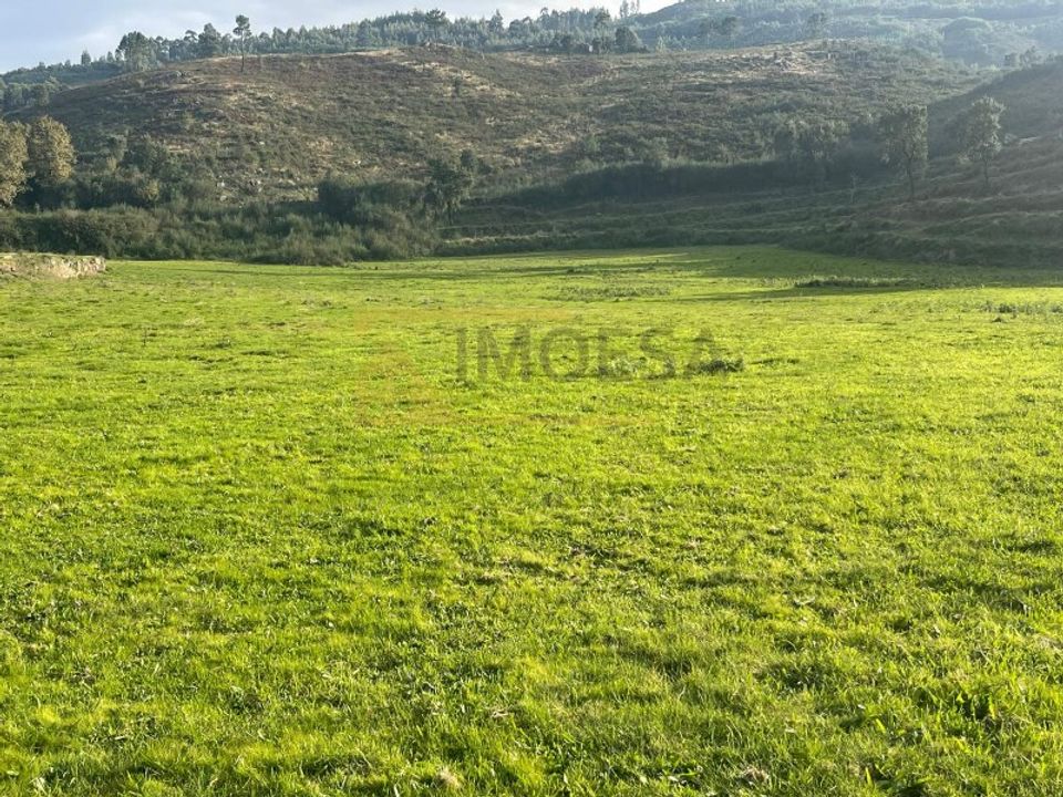 Farm i Moncao, Viana do Castelo - foto 4
