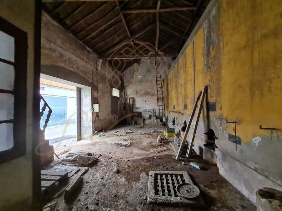Erhvervsejendom i Cartaxo, Santarem - foto 4