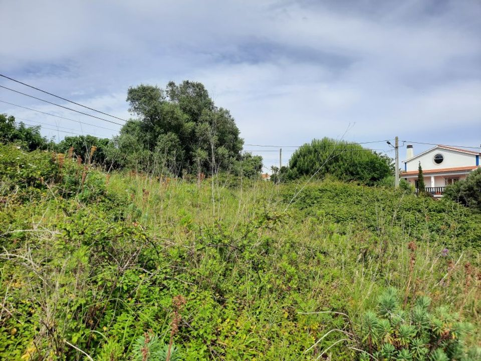 Helårsgrund i Alcobaca, Leiria - foto 4