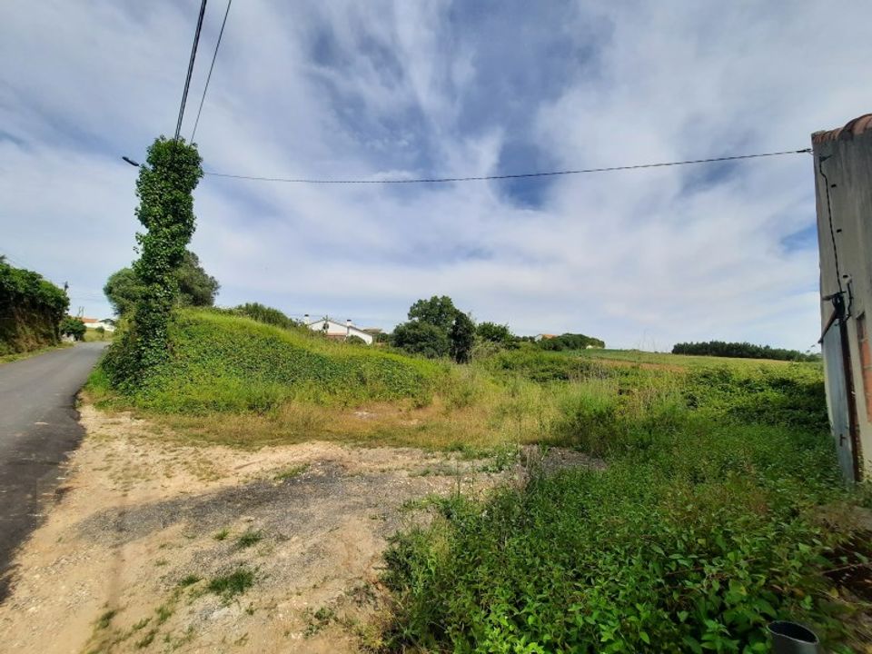 Helårsgrund i Alcobaca, Leiria - foto 5