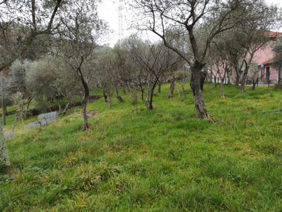 Landejendom i Rapallo, Genoa - foto 3