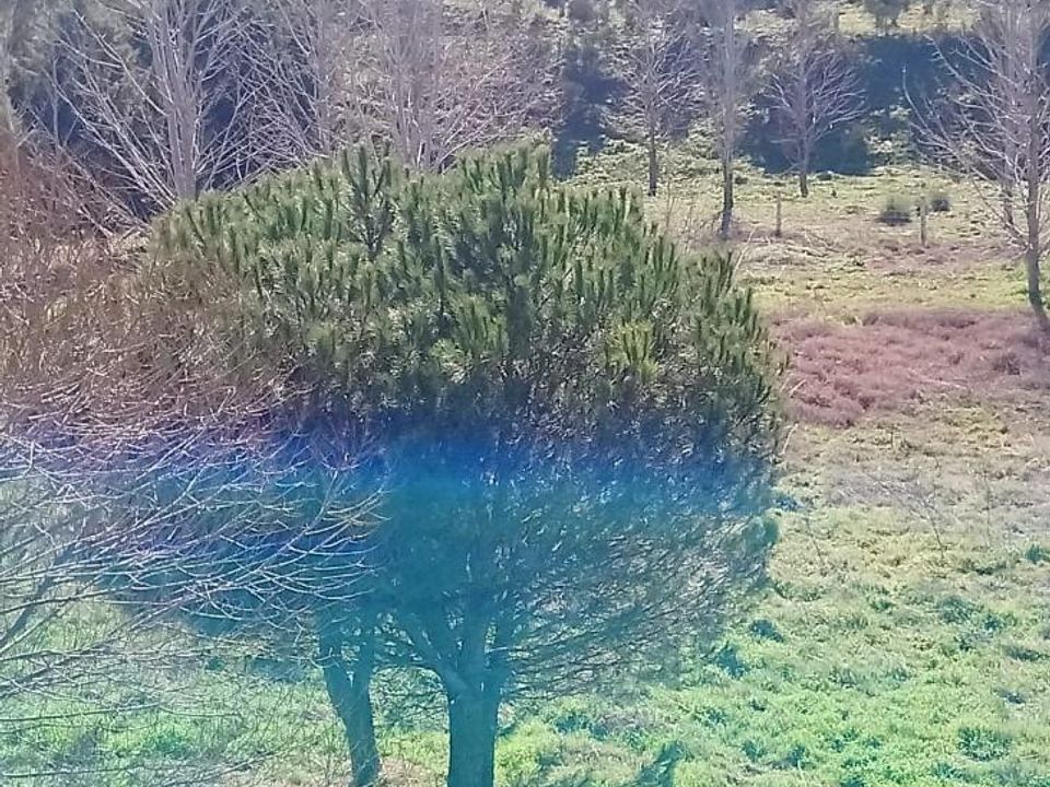 Helårsgrund i Terradillos, Salamanca - foto 3