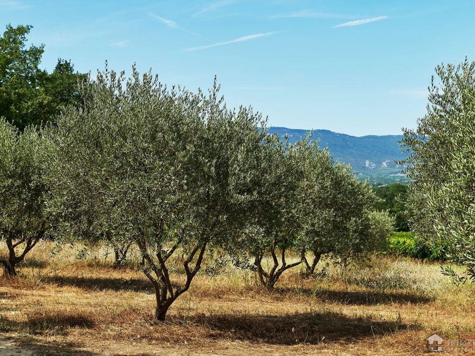 Erhvervsejendom i Villelaure, Vaucluse - foto 1