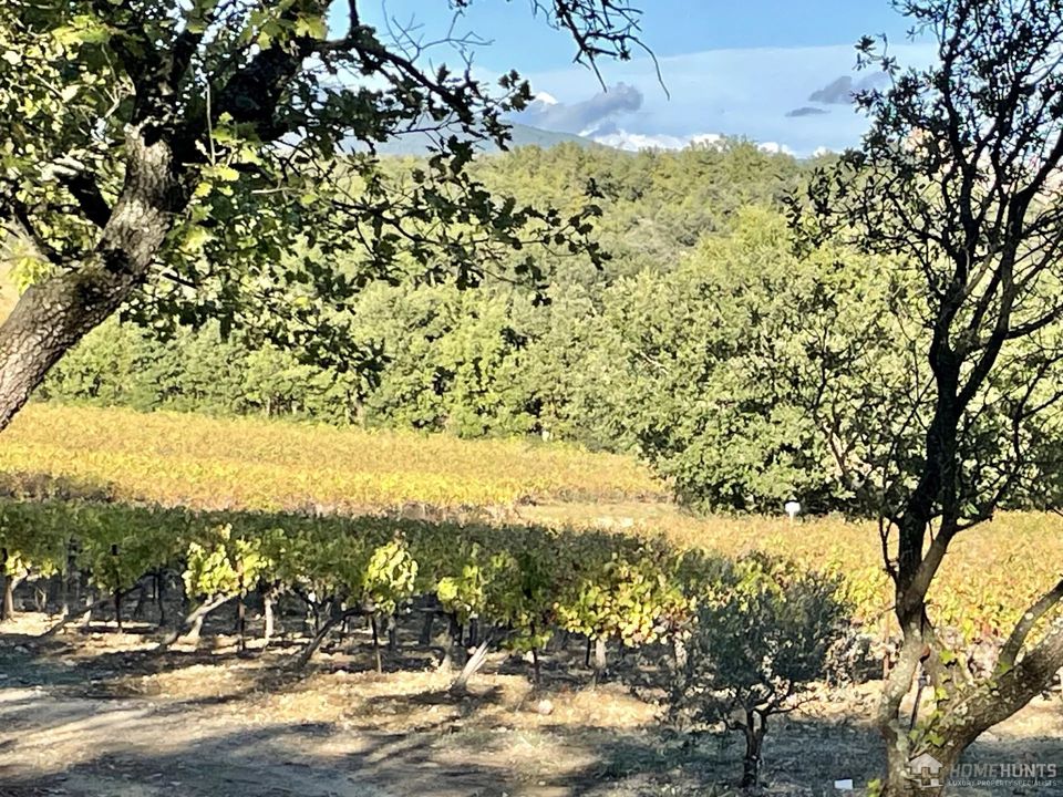 Erhvervsejendom i Villelaure, Vaucluse - foto 2