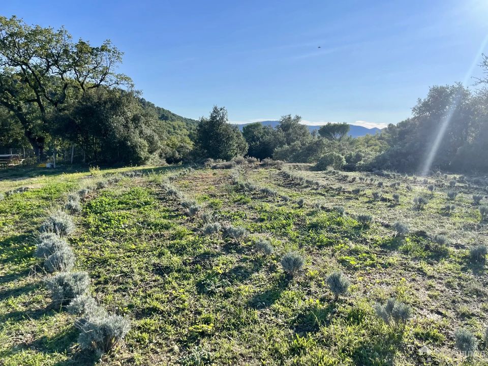 Erhvervsejendom i Villelaure, Vaucluse - foto 5