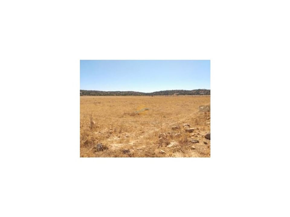 Helårsgrund i Armacao de Pera, Faro - foto 3
