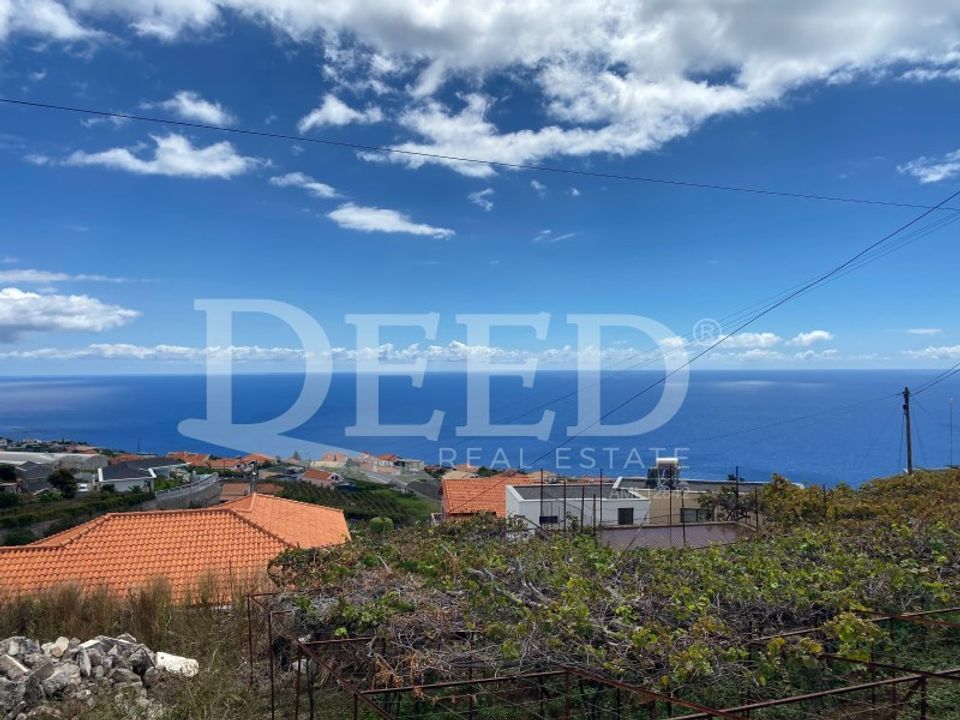 Helårsgrund i Calheta, Madeira - foto 1