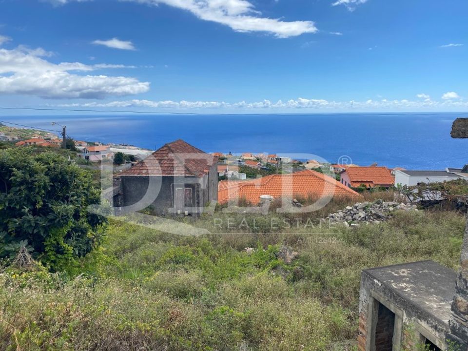 Helårsgrund i Calheta, Madeira - foto 3