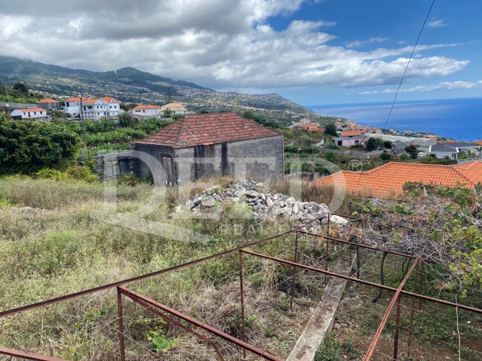 Helårsgrund i Calheta, Madeira - foto 5